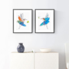 True Motion Kingfisher #1 - Image 2