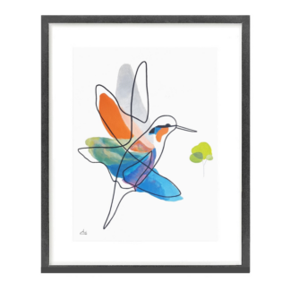 True Motion Kingfisher #1