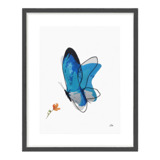 Truemotion Butterfly Ulysses